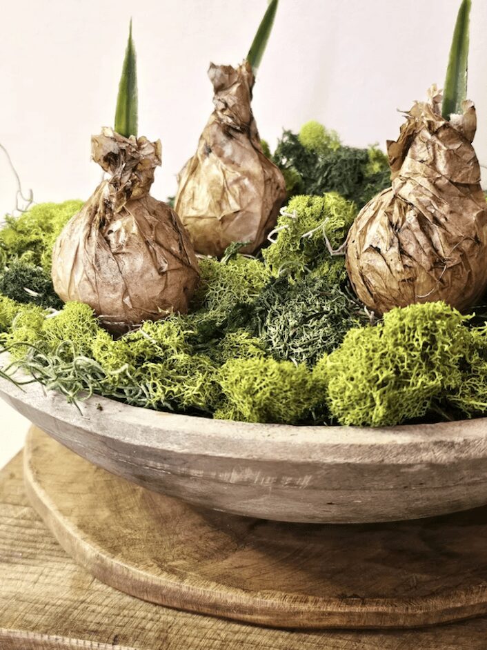 Spring & Easter Inspiration